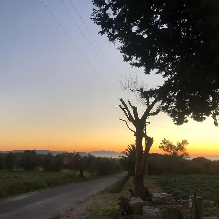 On Between Sky And Sea Geco Di Campiglia Pet Friendly Lodge Campiglia Marittima