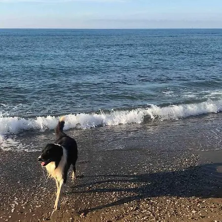 Chata On Between Sky And Sea Geco Di Campiglia Pet Friendly Big Garden Campiglia Marittima