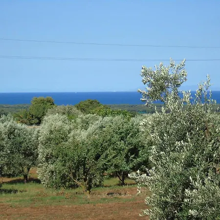 On Between Sky And Sea Geco Di Campiglia Pet Friendly Big Garden * Campiglia Marittima