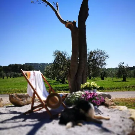 Lodge On Between Sky And Sea Geco Di Campiglia Pet Friendly Big Garden