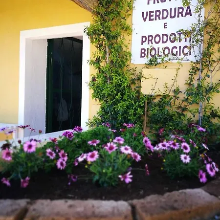 On Between Sky And Sea Geco Di Campiglia Pet Friendly Lodge