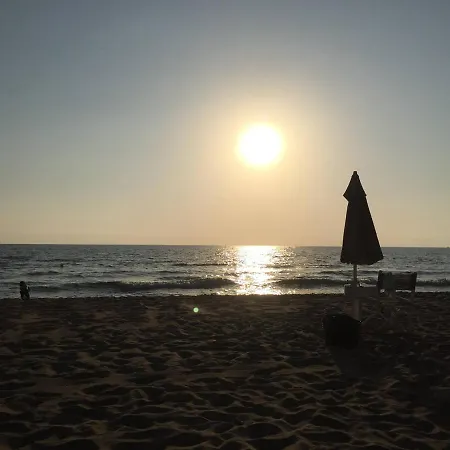 Lodge On Between Sky And Sea Geco Di Campiglia Pet Friendly
