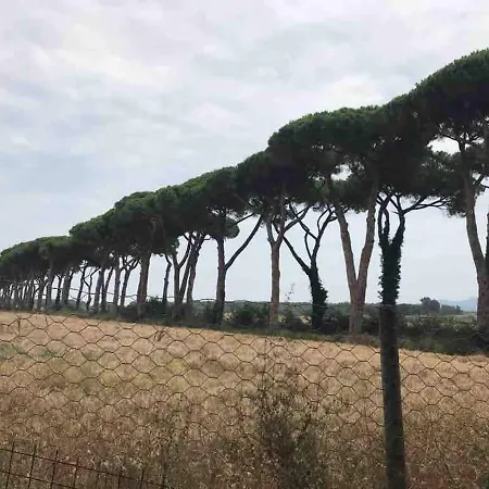 On Between Sky And Sea Geco Di Campiglia Pet Friendly Big Garden Chata Campiglia Marittima