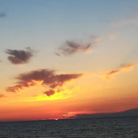On Between Sky And Sea Geco Di Campiglia Pet Friendly