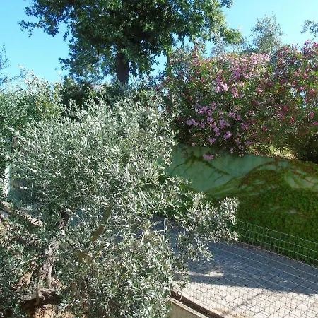 On Between Sky And Sea Geco Di Campiglia Pet Friendly Big Garden *