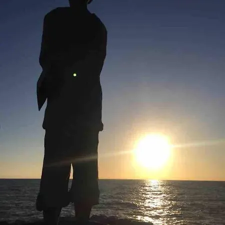 On Between Sky And Sea Geco Di Campiglia Pet Friendly Campiglia Marittima