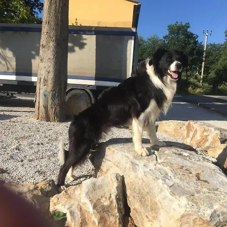 Chata On Between Sky And Sea Geco Di Campiglia Pet Friendly Big Garden Campiglia Marittima