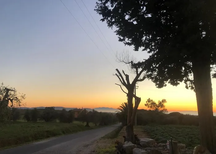 On Between Sky And Sea Geco Di Campiglia Pet Friendly Big Garden Lodge Campiglia Marittima