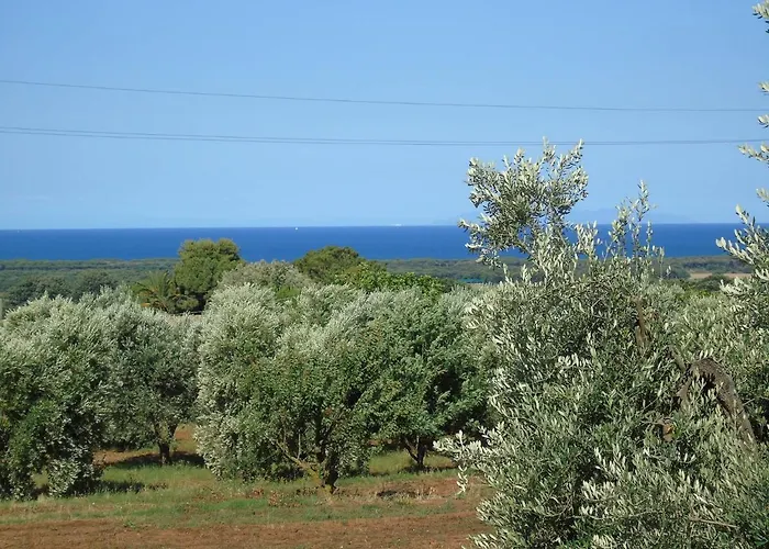 On Between Sky And Sea Geco Di Campiglia Pet Friendly Big Garden * Campiglia Marittima