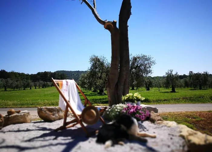 Lodge On Between Sky And Sea Geco Di Campiglia Pet Friendly Big Garden
