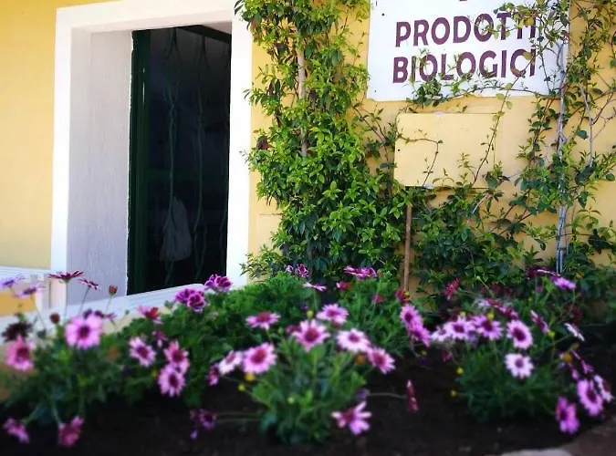 On Between Sky And Sea Geco Di Campiglia Pet Friendly Big Garden Lodge